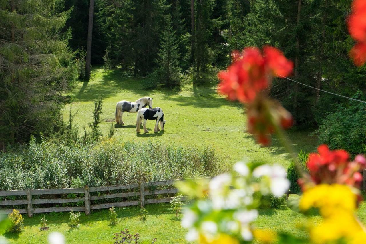 Ferienhaus Tannenblick Leutasch Exteriér fotografie